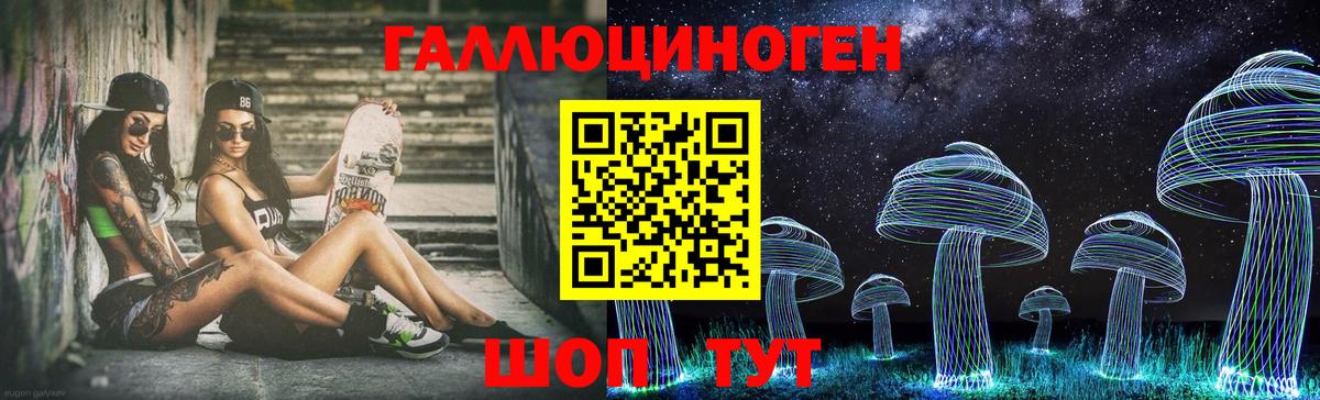 Курчатов  Псилоцибиновые грибы Cubensis  Вход с VPN 